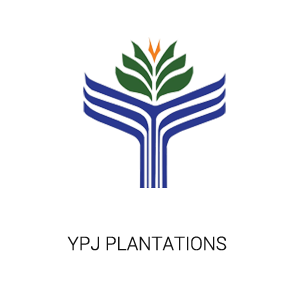 link logo -YPJP